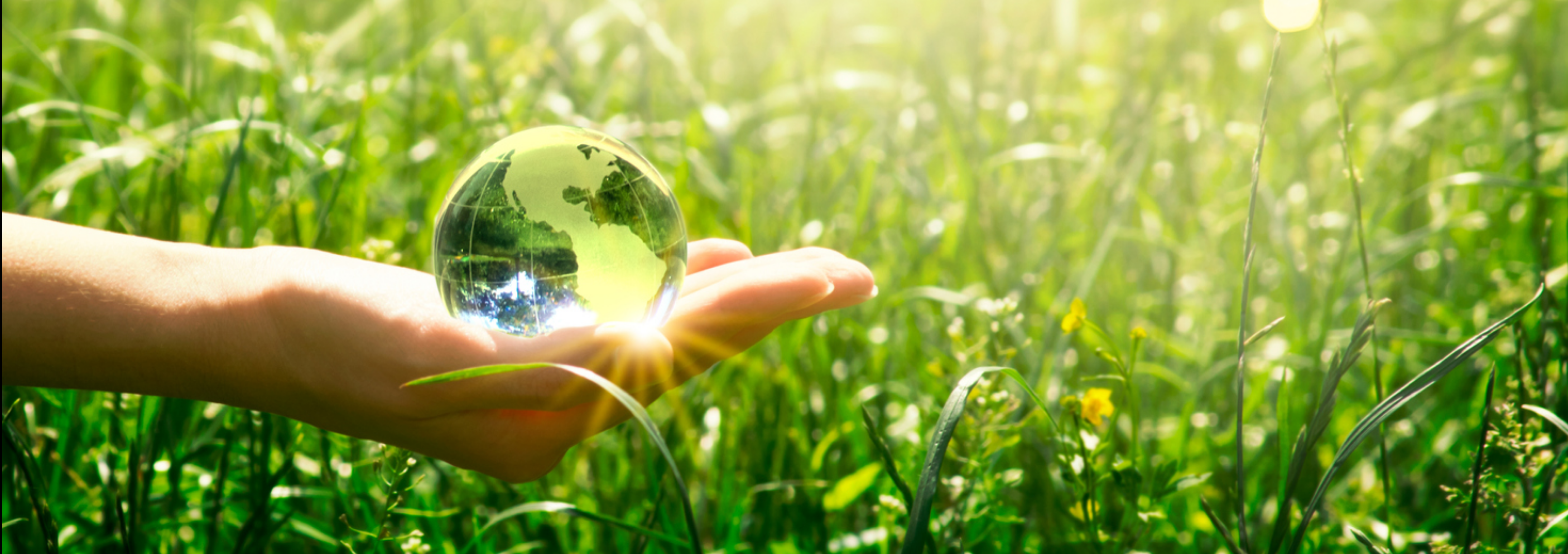 Sustainability Practices